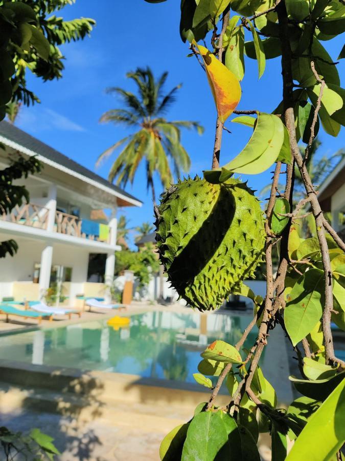 Hotel Frangi'Pwani à Paje Extérieur photo